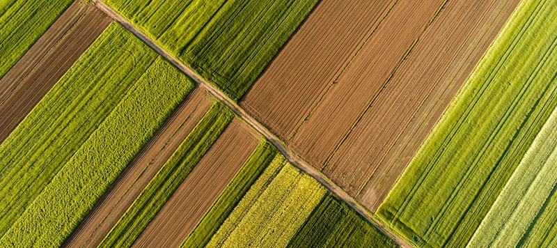 Estate planning and family law services by attorneys in Des Moines and Mount Pleasant, Iowa